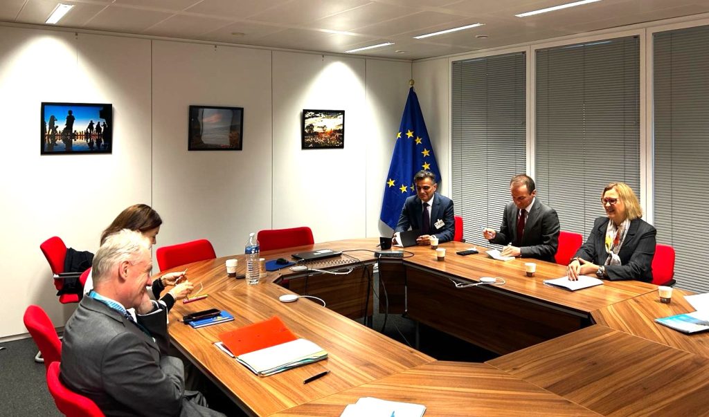 Deputy PM Grkovska Holds Meeting with Gert Jan Koopman in Brussels