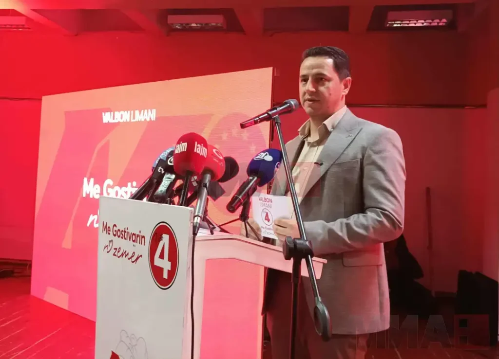 Activities of National Alliance for Integration and VLEN Candidates
