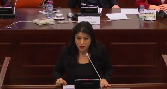 Levica’s Mojsoska Voices Negative Stand on Election of Topalova-Isajlovska