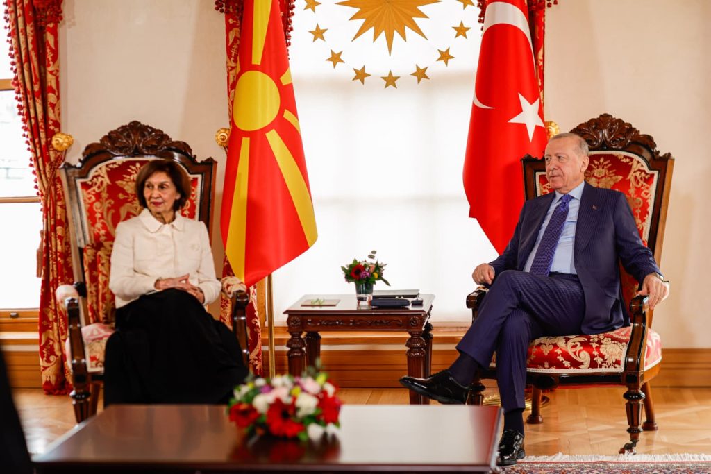 President Siljanovska Davkova Meets Counterpart Erdogan