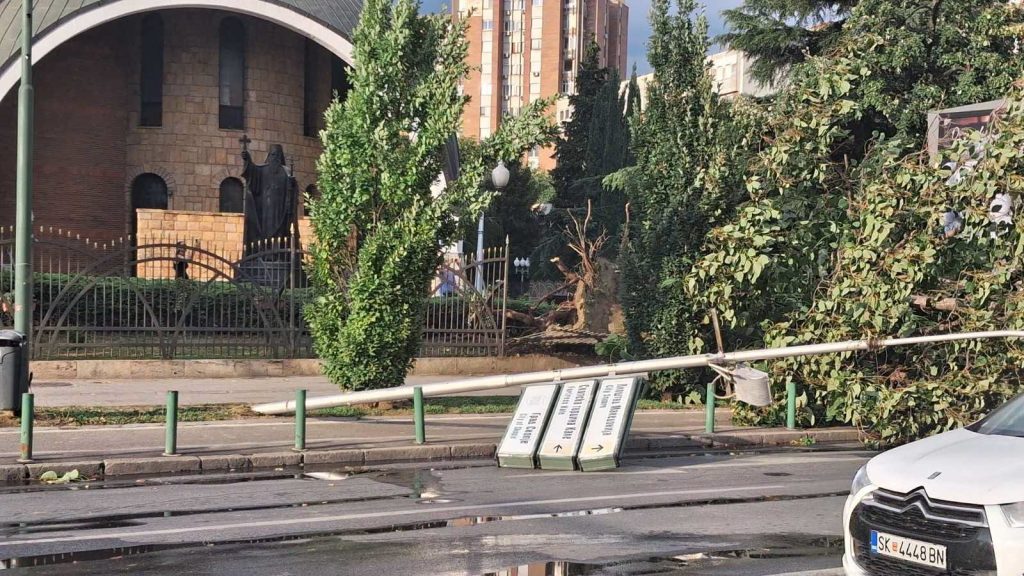 Severe Storm Seriously Impacts Power Distribution Infrastructure