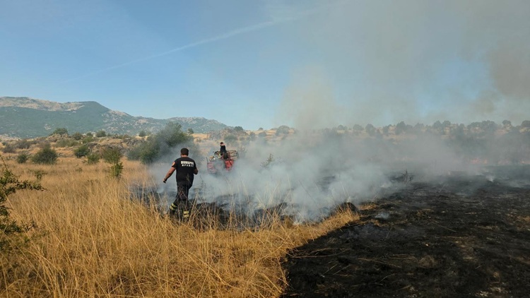Activities to Extinguish Mariovo Fire Continuing