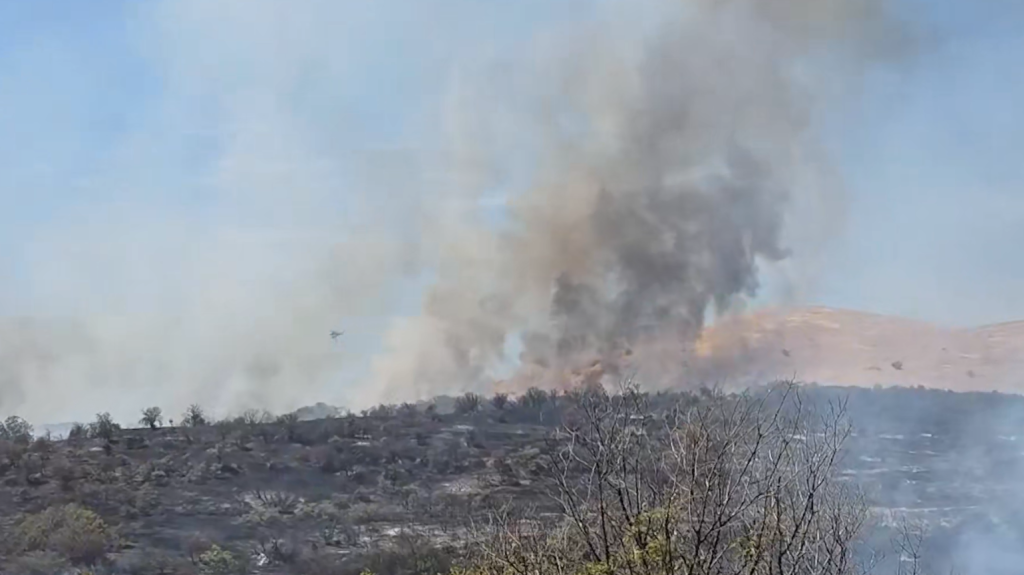 Gradsko Fire Extinguished as DOM Demands Logging Ban