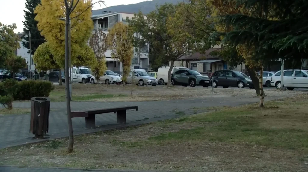 Minor Physically Assaulted by Peers in Vlae